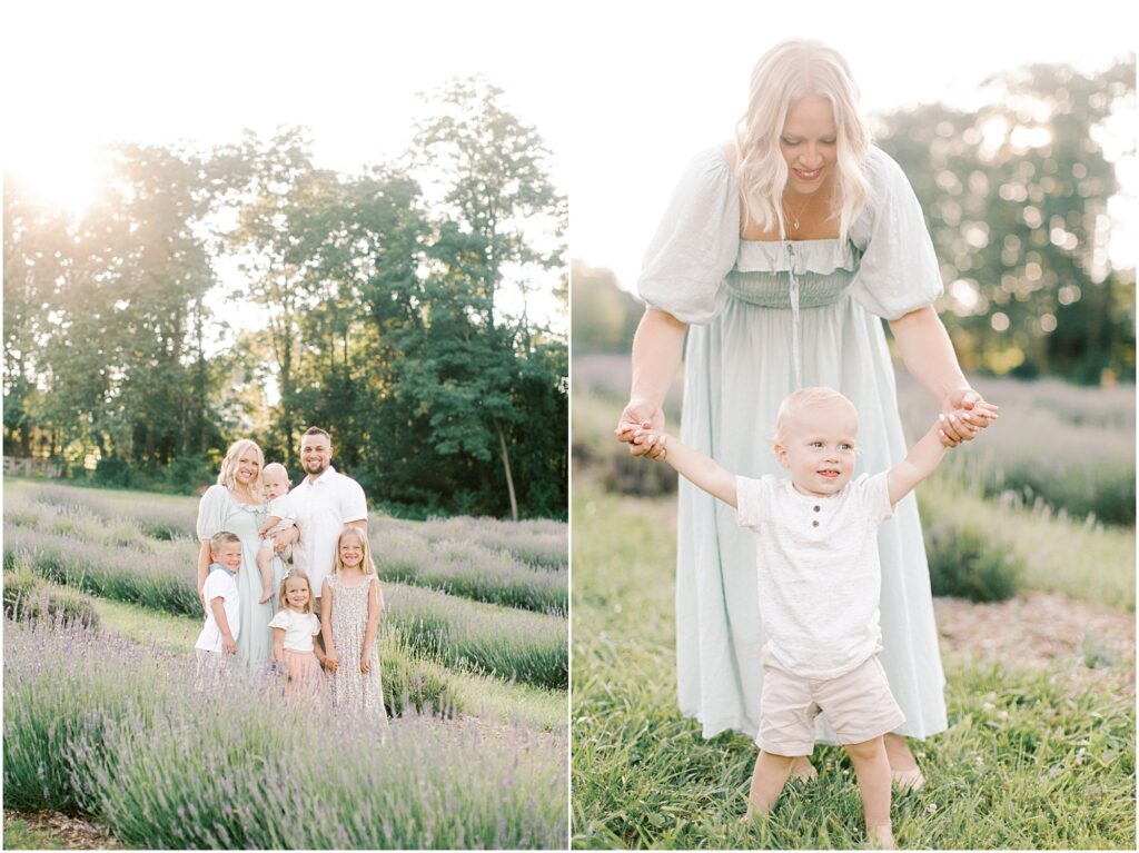 On the right, a family in a lavender field and on the left, a mother helping her toddler to walk in a lavender field photo session