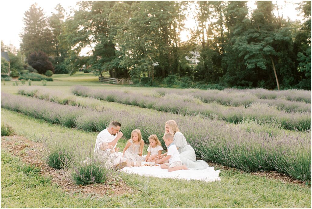 Family having a picnic at a lavender field photo session in Coatesville, PA with Angelique Jasmin Photography