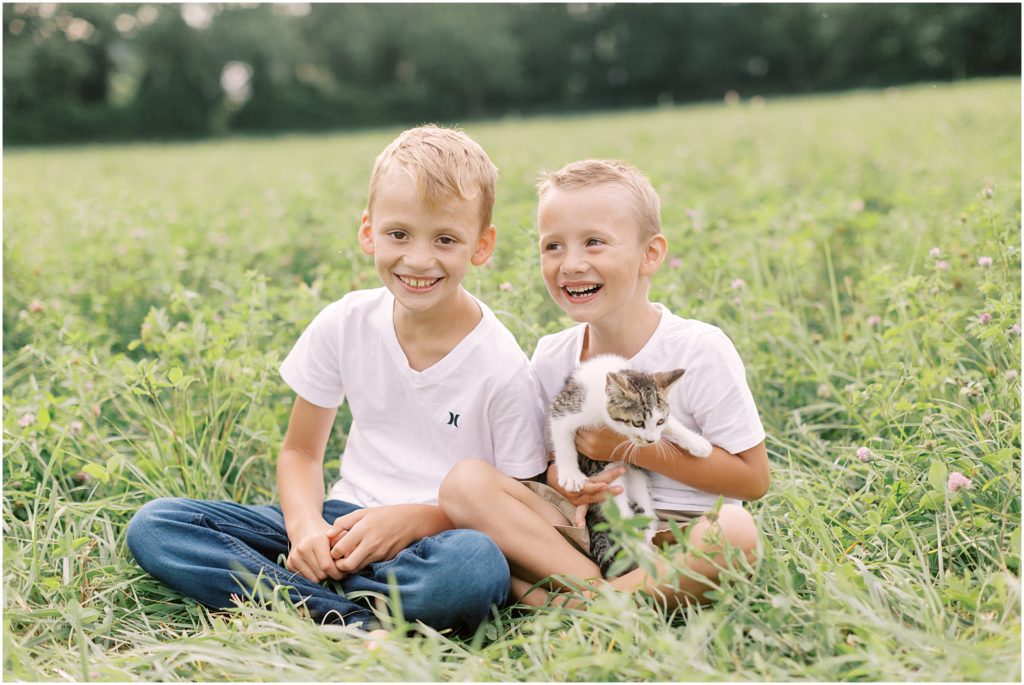 Little boys laughing in a field with a kitten