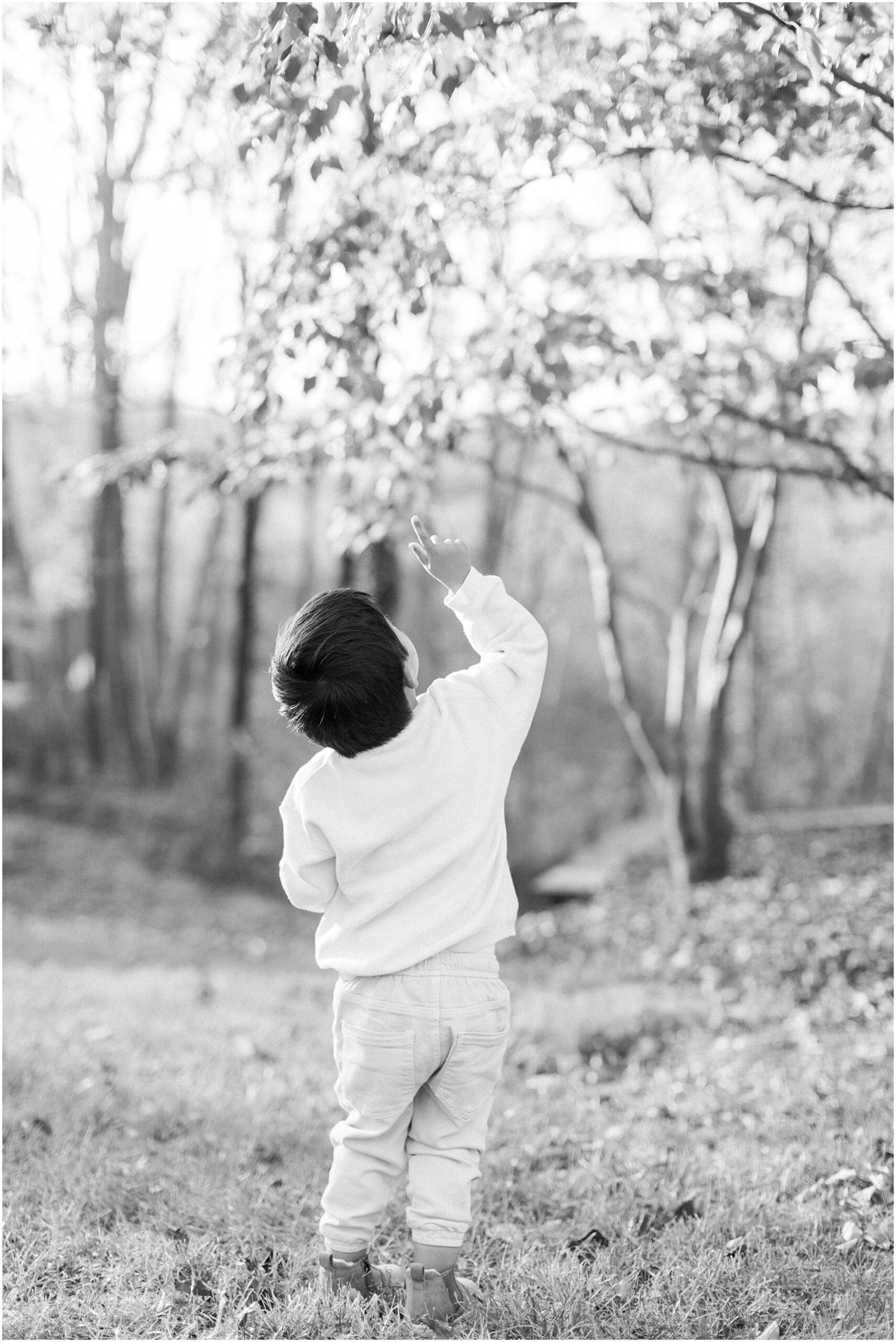 Little boy looking up at leaves in a tree in black and white