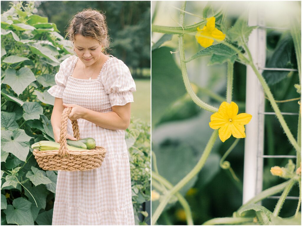 On the left, a woman holding a basket of garden produce. On the right, details of cucumber blossoms in motherhood and gardening with Angelique Jasmin Photography.