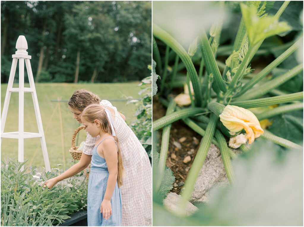 On the left a mother showing her daughter things in a garden. On the right, details of a zucchini blossom.