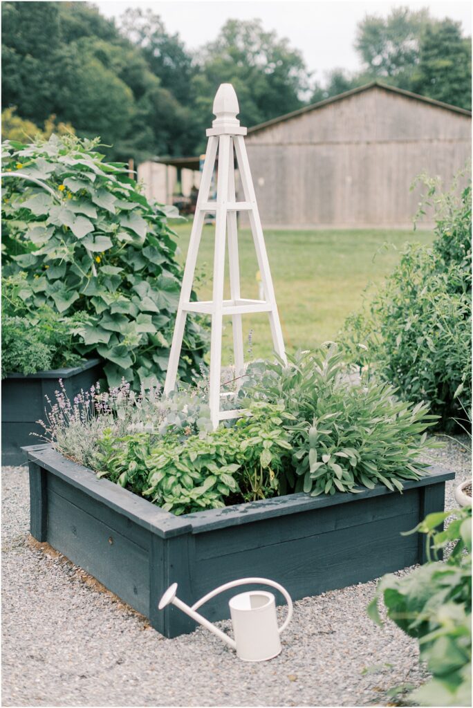 A raised bed herb garden in Motherhood and Gardening with Angelique Jasmin Photography