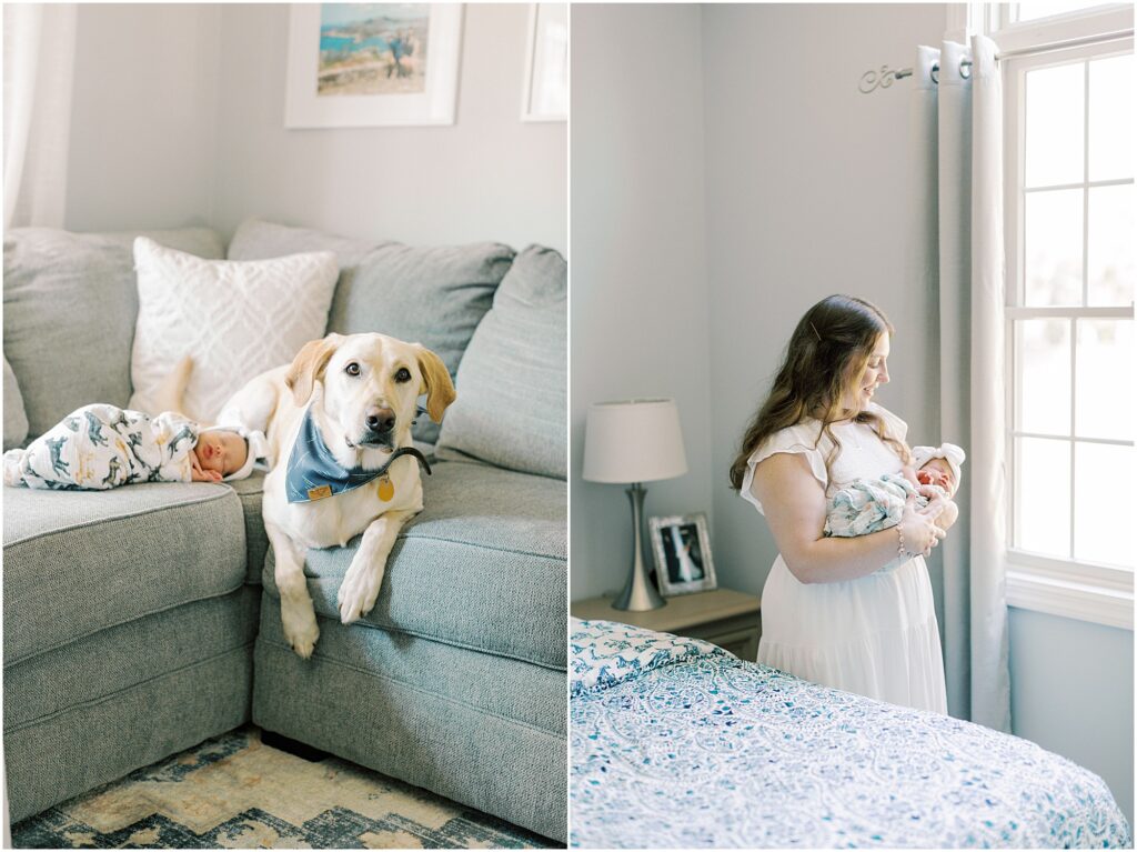 Left: Dog with newborn baby laying beside him. Right: Mother holding her baby near a window